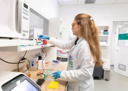 Levedura 2.0 impulsiona a evolução dos biocombustíveis