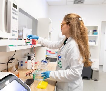Levedura 2.0 impulsiona a evolução dos biocombustíveis