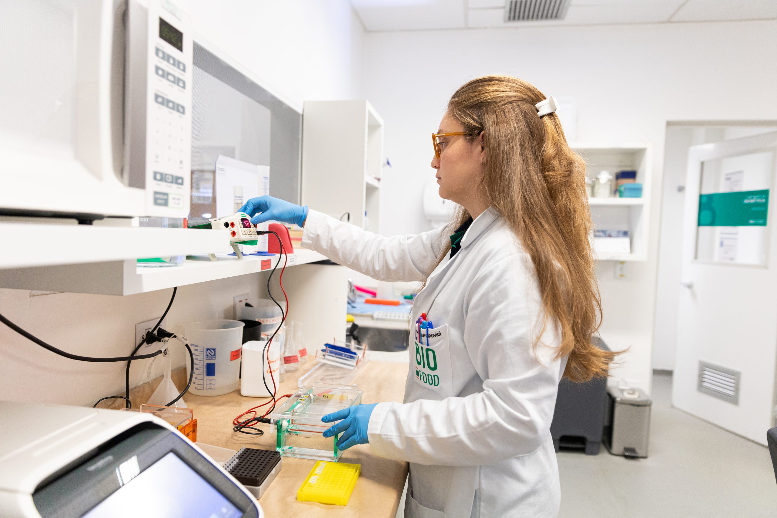 Levedura 2.0 impulsiona a evolução dos biocombustíveis