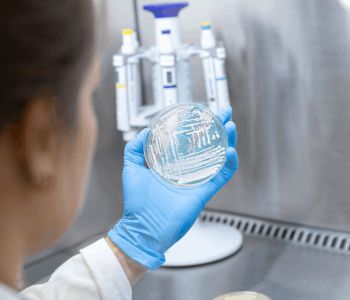 Biotecnologia industrial com leveduras inovadoras. Foto: BIOINFOOD / Divulgação